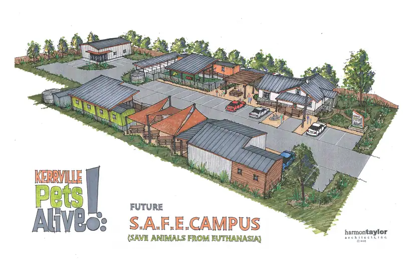 4-x-6-Safe-Campus-Card-1_Page_1