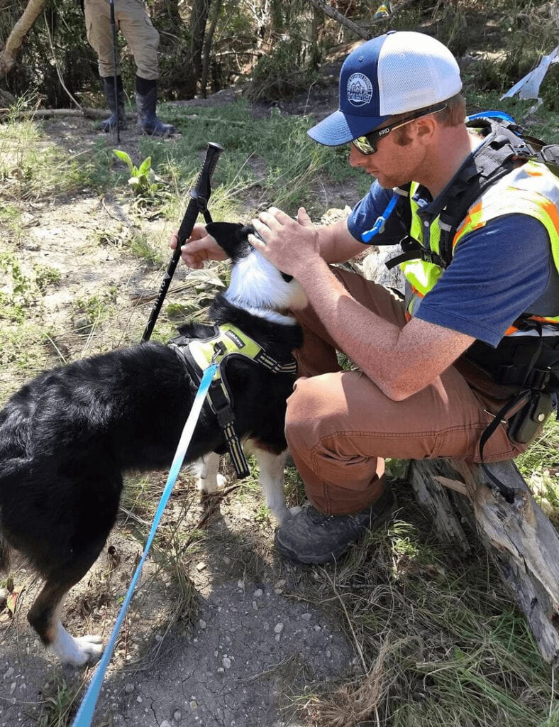 Dog with KPA Volunteer