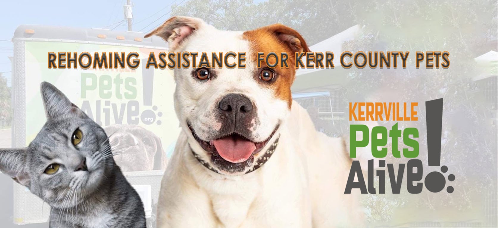 Rehoming-Assistance-for-Kerr-County