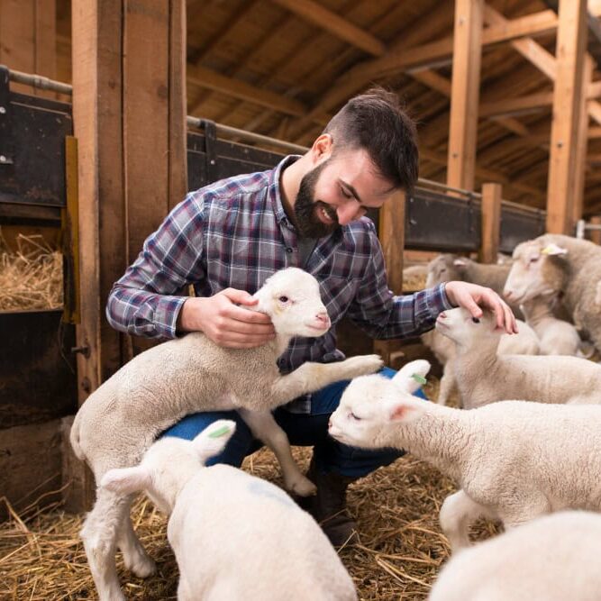Happy farmer playing with animals at farm