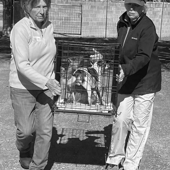 Rescue Assistance Kerrville Pets Alive